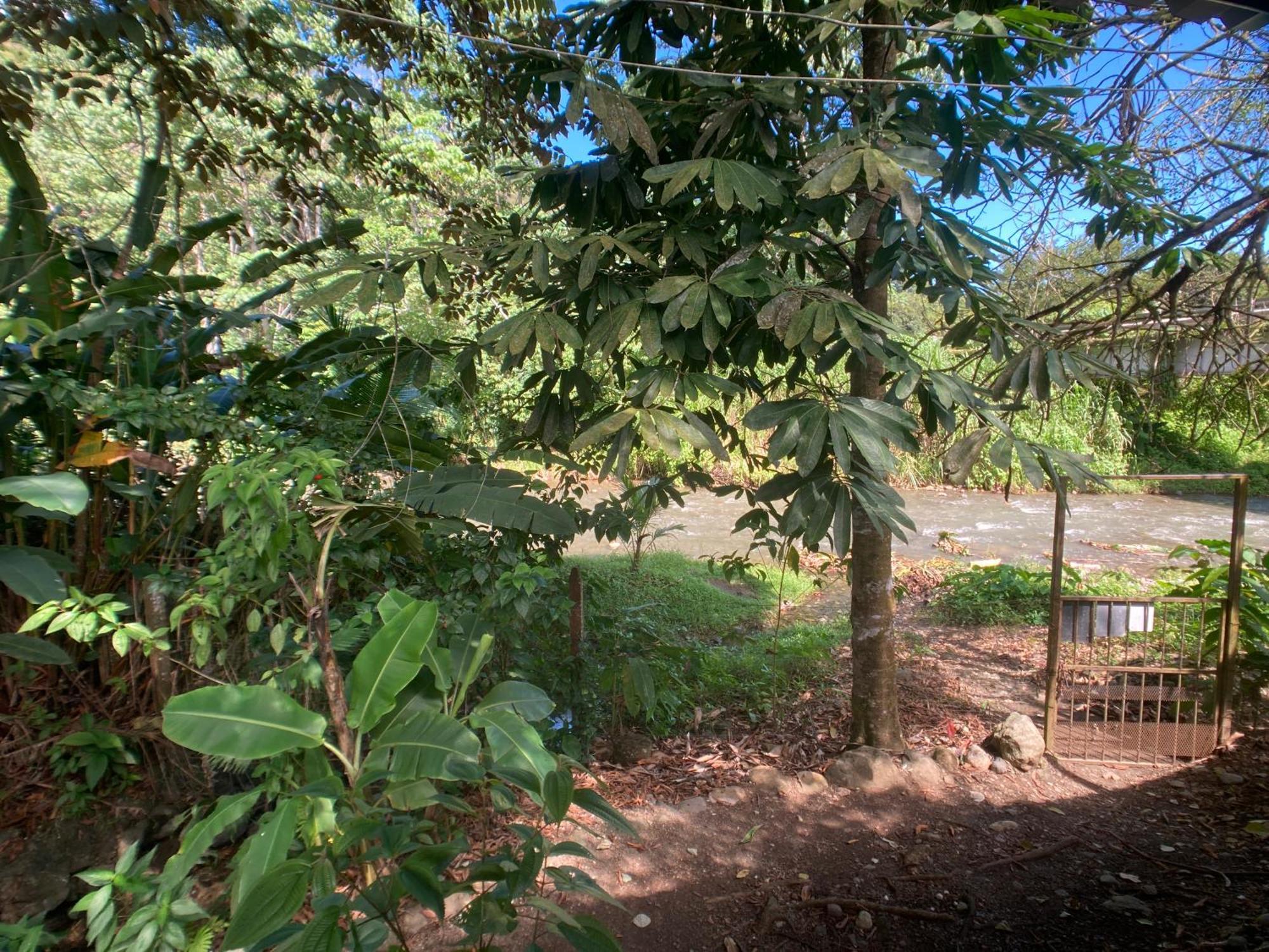 Yejos Jungle Lodge Dos Brazos Exterior foto