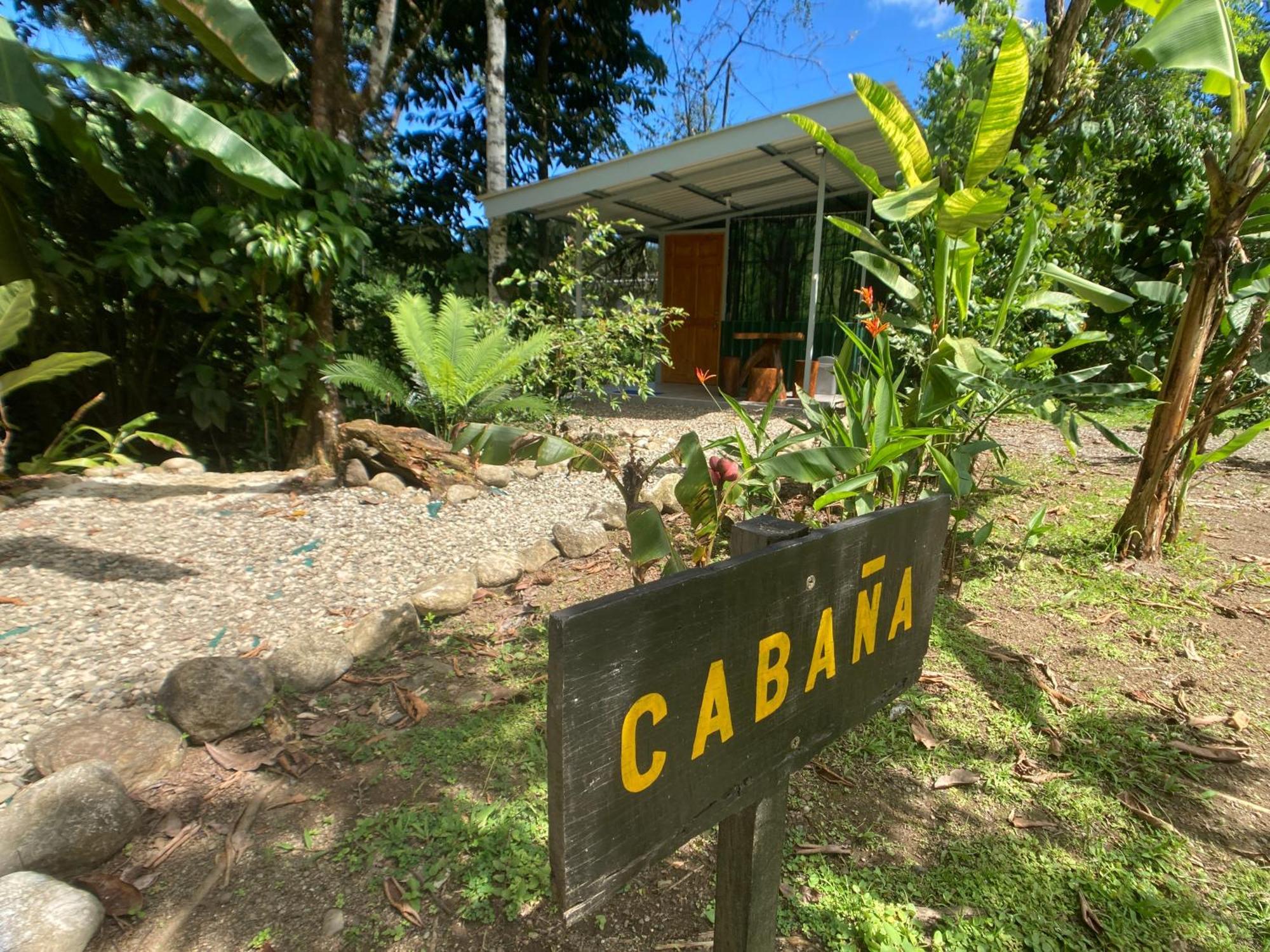 Yejos Jungle Lodge Dos Brazos Exterior foto